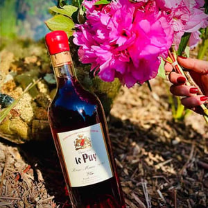 Rose-Marie - Château le Puy - Jean-Pierre & Pascal Amoreau 