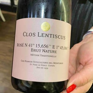 Rosé N41°15,656" E1°45,086" Brut Nature - Clos Lentiscus - Manel Aviñó 
