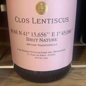 Rosé N41°15,656" E1°45,086" Brut Nature - Clos Lentiscus - manel-avino
