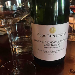 Rosé N41°15,656" E1°45,086" Brut Nature - Clos Lentiscus - Manel Aviñó 