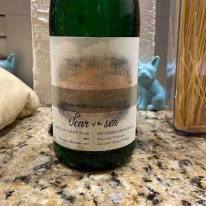 Rosé of Pinot Noir - Scar of the Sea - mikey-gina-giugni -2021