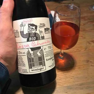 Rózsa Petsovits - Weingut Weninger (Austria) / Weninger Pincészet (Hungary) - Franz Weninger 