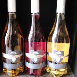 Rosé - Domaine de l'Anchois - Stéphan Buffille