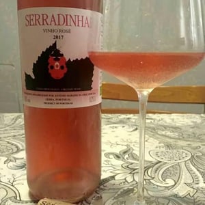 Vinho Rosé - Quinta da Serradinha - António Marques da Cruz 