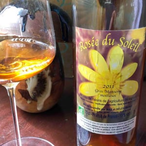 Rosée Du Soleil - Domaine de Galaubas - max-et-helen-burgi