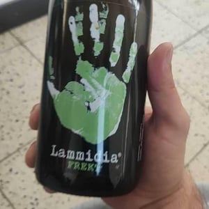 Lammidia - Marco Giuliani & Davide Gentile - Rosh