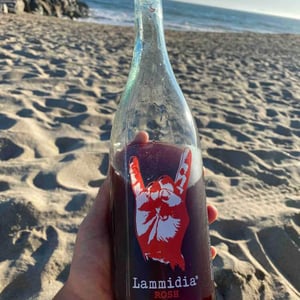 Lammidia - Marco Giuliani & Davide Gentile - Rosh