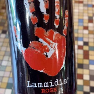 Rosh - Lammidia - marco-giuliani-davide-gentile