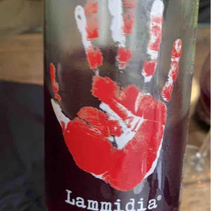 Rosso Anfora - Lammidia - Marco Giuliani & Davide Gentile 