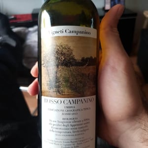 Rosso Campanino - Tenuta Baroni Campanino - andrea-caracciolo