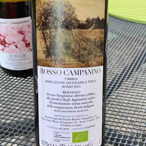 Rosso Campanino - Tenuta Baroni Campanino - Andrea Caracciolo 