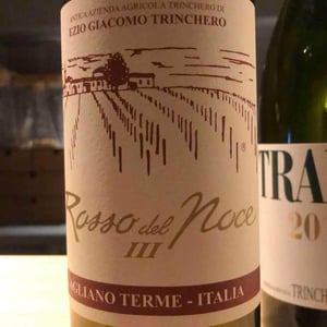 Rosso del Noce Ⅲ - Azienda Agricola Ezio Trinchero - Ezio Trinchero 