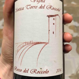Rosso Del Roccolo - Vigna Antica Torre del Roccolo - Raimondo Zolin 