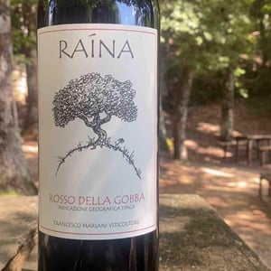 Rosso Della Gobba - Raína - francesco-mariani