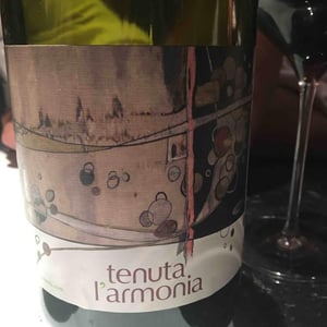 Rosso dell'Armonia - Tenuta l'Armonia - Andrea Pendin 