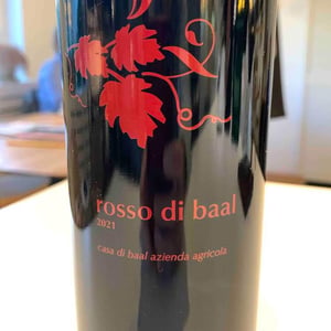 Rosso Di Baal - Casa di Baal - famiglia-salerno -2021