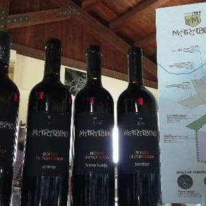 Rosso di Contrada 2017