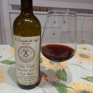 Rosso Due Colli 2018 - Conestabile Della Staffa - Danilo Marcucci