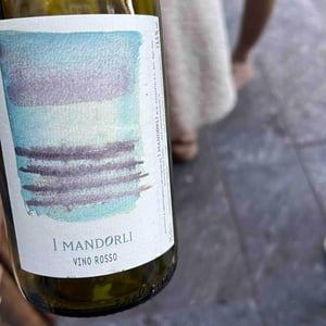 Vino Rosso - I Mandorli - maddalena-pasquetti-andrea-bargiacchi