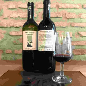 Rosso Masieri - Azienda Agricola La Biancara - Angiolino Maule 