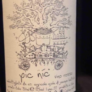 Rosso Pic Nic - Azienda Agricola Ajola - jacopo-battista