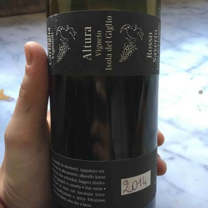 Rosso Saverio - Altura Vigneto - Francesco Carfagna 