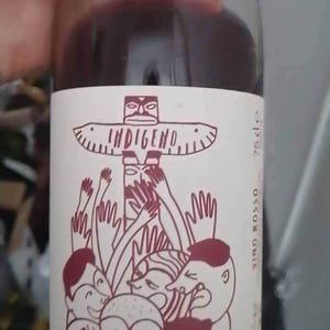 Cantina Indigeno (TEMPORARILY CLOSED) - Alfredo Giugno, Loreto Lamolinara, Nicola Reginaldi - Rosso