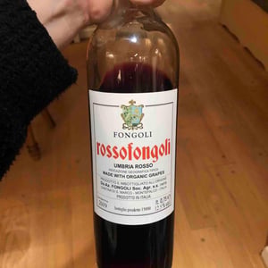 Rossofongoli - Fongoli - Angelo Fongoli 