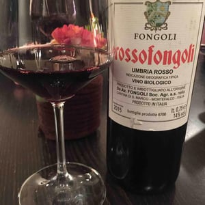 Rossofongoli - Fongoli - angelo-fongoli