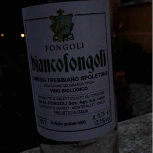 Rossofongoli - Fongoli - angelo-fongoli