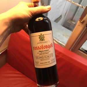 Rossofongoli - Fongoli - angelo-fongoli