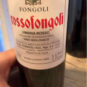 Rossofongoli - Fongoli - angelo-fongoli