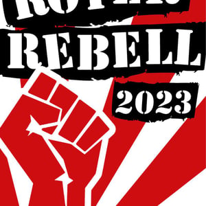Roter Rebell - Domaine Pascal Treichler - pascal-treichler -2022