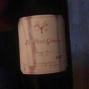 Le Petit Domaine de Gimios - Anne-Marie Lavaysse - Rouge Fruit