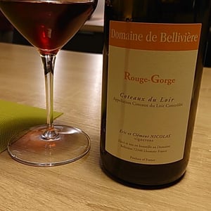Rouge-Gorge - Domaine de Bellivière - Clement et Laure Anne Nicolas 