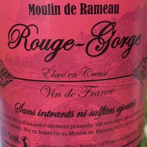 Rouge-Gorge