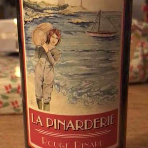 Rouge Pinard - La Pinarderie (ex Le Petit Domaine) - aurelien-petit -2022