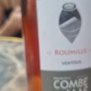 Roumille - La Combe au Mas - Marie-Sophie Jullien & Thomas Ayoun 
