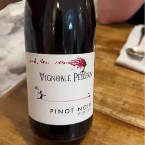 Roussanne - Vignoble Pellerin - jean-christophe-baptiste-lucien-pellerin
