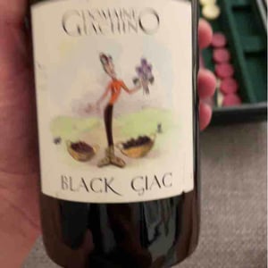 Roussette - Domaine Giachino - Frédéric, David & Clément Giachino 