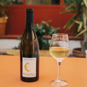 Rouzan Blanc - Mathieu Apffel - camille-mathieu-apffel