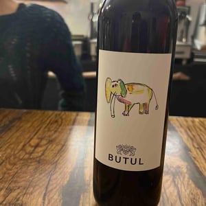 Roza - Domačija Butul - tatjana-mitja-crt-butul