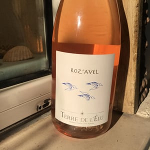 Roz’Avel - Terre de L'Elu - charlotte-et-thomas-carsin -2021