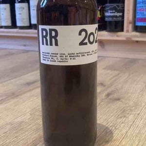 RR 2021 - Richard Stavek - Richard Stavek -2021