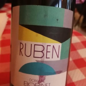Domaine Calvez-Bobinet - Sébastien Bobinet & Emeline Calvez - Ruben