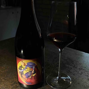 Ruf Y Ann - MicroBioWines - Ismael Gozalo 