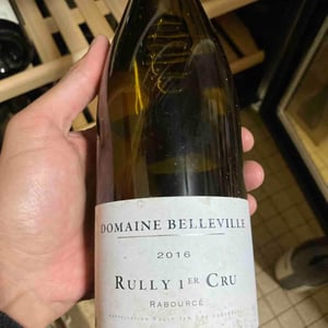Rully 1er cru - Domaine Belleville - un-couple-damericain