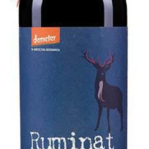 Ruminat - Cantina Orsogna - Cantina Orsogna -2020