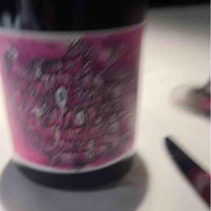 Ruof Pinot Noir - Christof Ruof - Christof Ruof 