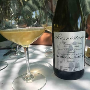 Ruzninteina - Claudio Plessi - Claudio Plessi 